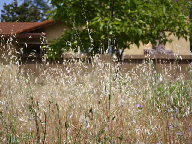 Magna suspendisse eleifend at nulla