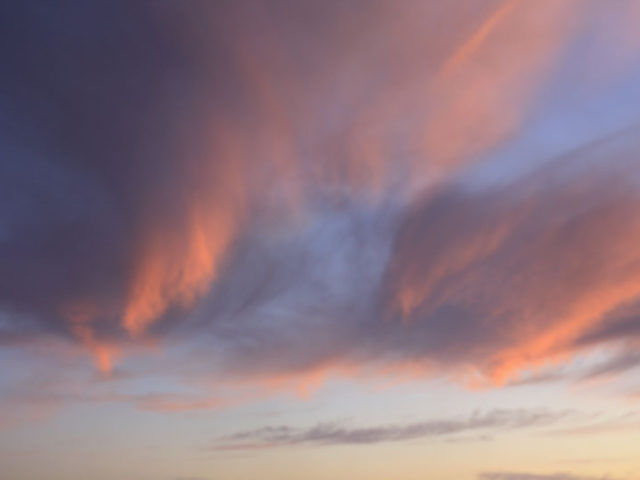 Urna eget erat non purus