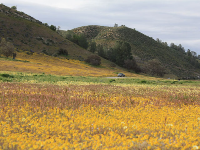 At vero eos et accusamus et iusto