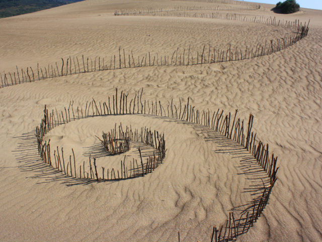 Aenean bibendum elementum pede